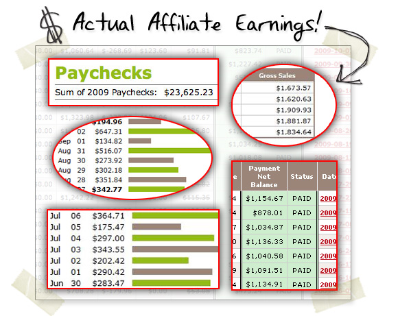 affiliate earnings